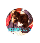 ノエベーと愉快な仲間達（個別スタンプ：36）