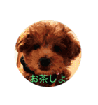 ノエベーと愉快な仲間達（個別スタンプ：37）