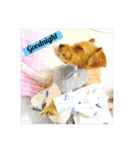 DEN＆FRIENDs（個別スタンプ：8）
