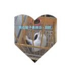 Rudy Rabbit（個別スタンプ：4）