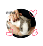 Rudy Rabbit（個別スタンプ：8）
