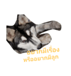 Moomoo Cute Dog（個別スタンプ：4）