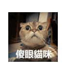 Jinboadog（個別スタンプ：1）