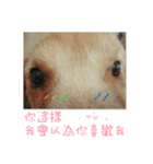 Jinboadog（個別スタンプ：8）