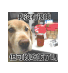Jinboadog（個別スタンプ：9）