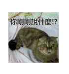 Jinboadog（個別スタンプ：20）
