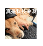 Jinboadog（個別スタンプ：24）