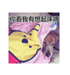 Jinboadog（個別スタンプ：25）