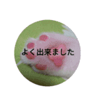 natume-dono（個別スタンプ：1）
