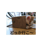 natume-dono（個別スタンプ：5）