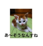 natume-dono（個別スタンプ：9）
