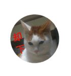 natume-dono（個別スタンプ：24）