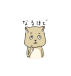 限界ハムスター（個別スタンプ：12）