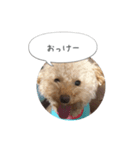 モカちゃんスタンプver2（個別スタンプ：6）