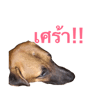 Mad Dog！！（個別スタンプ：2）