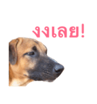Mad Dog！！（個別スタンプ：3）