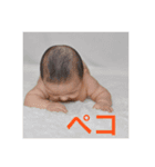 samon2（個別スタンプ：16）