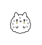 Popcorn Cat（個別スタンプ：17）