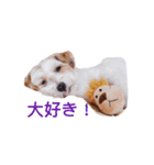 アポロが大好き（個別スタンプ：7）