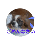 犬のチェリーちゃん（個別スタンプ：2）