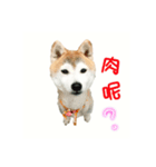 Red momo（個別スタンプ：4）