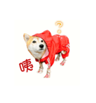 Red momo（個別スタンプ：6）