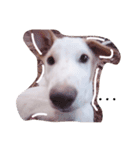 Dekdee dog dog（個別スタンプ：3）