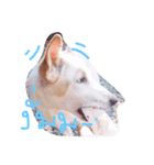 Dekdee dog dog（個別スタンプ：5）