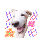 Dekdee dog dog（個別スタンプ：6）