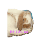 うさぎのちくわちゃん（個別スタンプ：1）