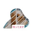 うさぎのちくわちゃん（個別スタンプ：2）