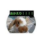 うさぎのちくわちゃん（個別スタンプ：4）