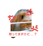 うさぎのちくわちゃん（個別スタンプ：7）