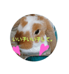 うさぎのちくわちゃん（個別スタンプ：8）