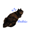 namngern（個別スタンプ：6）
