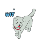 Winter with dogs in the house（個別スタンプ：5）
