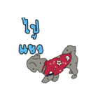 Winter with dogs in the house（個別スタンプ：8）