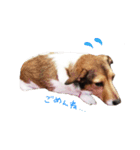 MILEY ！（個別スタンプ：4）