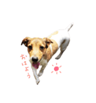 MILEY ！（個別スタンプ：5）