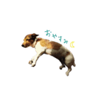 MILEY ！（個別スタンプ：6）