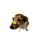 MILEY ！（個別スタンプ：8）