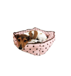 MILEY ！（個別スタンプ：13）