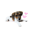 MILEY ！（個別スタンプ：15）
