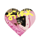 じぇみのスタンプ（個別スタンプ：6）