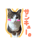 Sasada FAM（個別スタンプ：9）