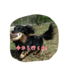 大好き豆太郎（個別スタンプ：2）