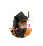 大好き豆太郎（個別スタンプ：7）