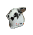 princess's little rabbit（個別スタンプ：2）