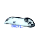 princess's little rabbit（個別スタンプ：5）