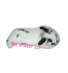 princess's little rabbit（個別スタンプ：6）